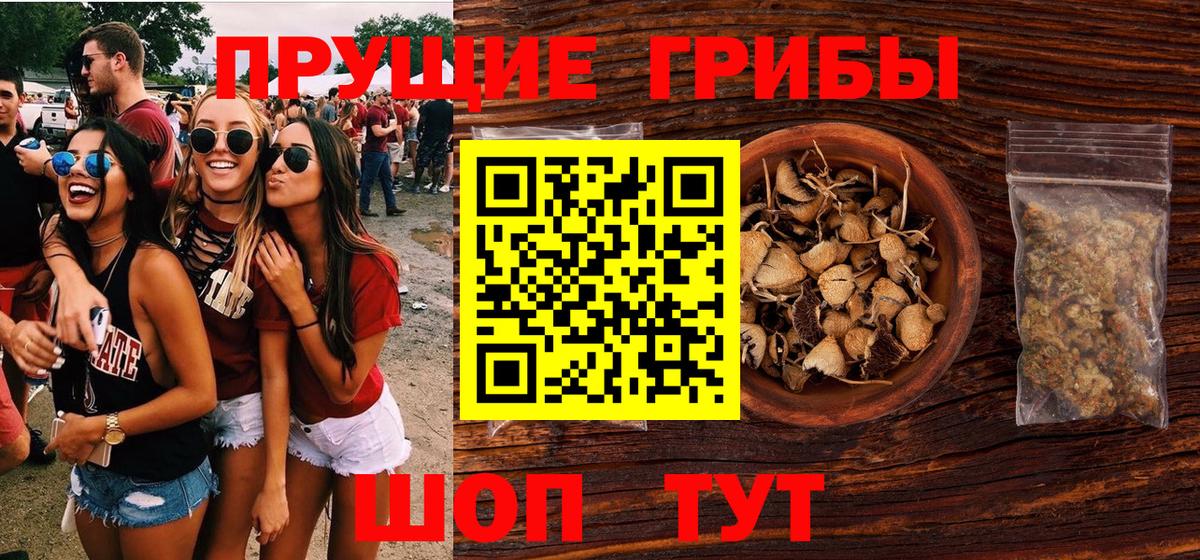 Галлюциногенные грибы прущие грибы Верхний Уфалей