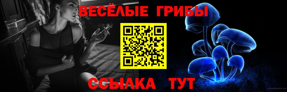 цены   Галлюциногенные грибы Cubensis  Галлюциногенные грибы прущие грибы  Вход с VPN  Верхний Уфалей 